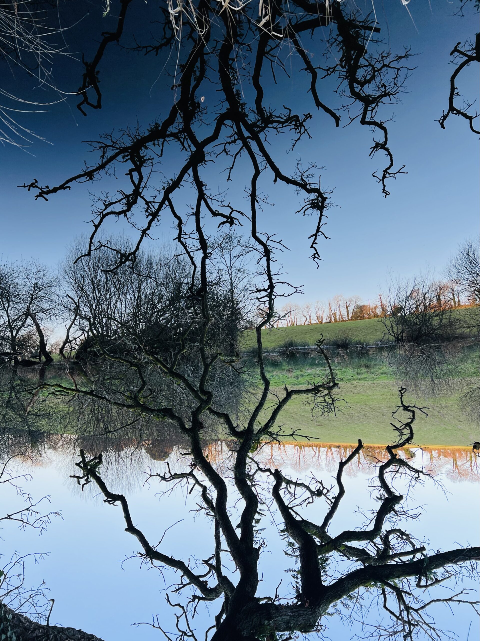 Séminaire de Dialogue Intérieur